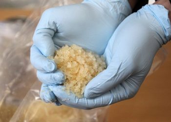 Mabes Polri catat narkoba kasus terbanyak selama Operasi Ketupat 2021