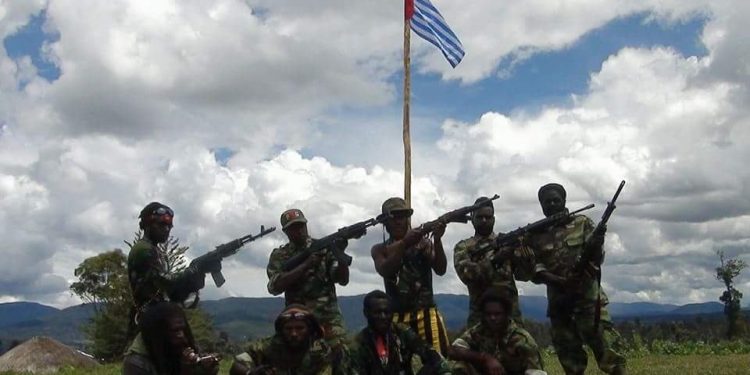 Baintelkam Polri Sebut Tak Semua Wilayah Papua Diteror KKB