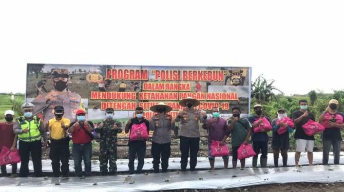 Polres Badung Upayakan Ketahanan Pangan Lewat ‘Polisi Berkebun’